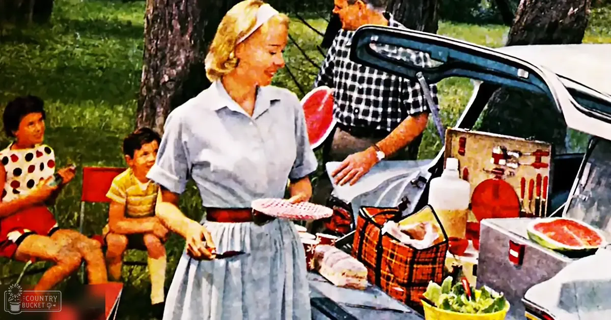 An adult female in a light blue short-sleeved shirt and full skirt at an outdoor picnic scene with children, vehicles, and picnic items visible.