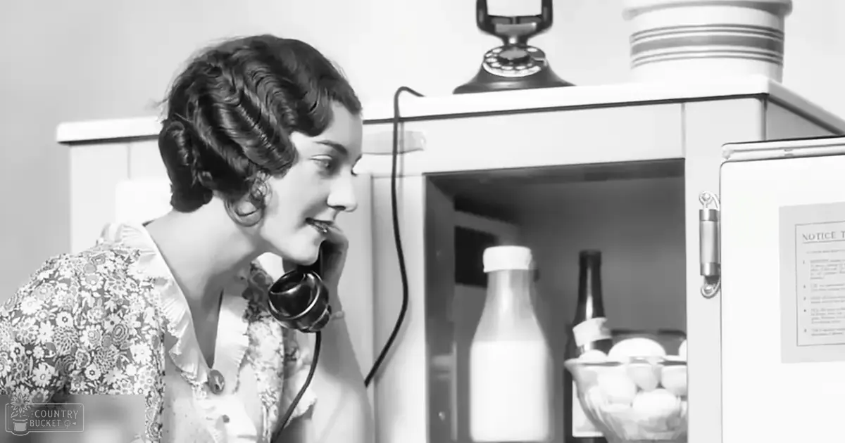 A young adult female wearing a floral-patterned blouse with ruffled details and buttons down the front, holding an old-fashioned rotary telephone in a retro kitchen setting.