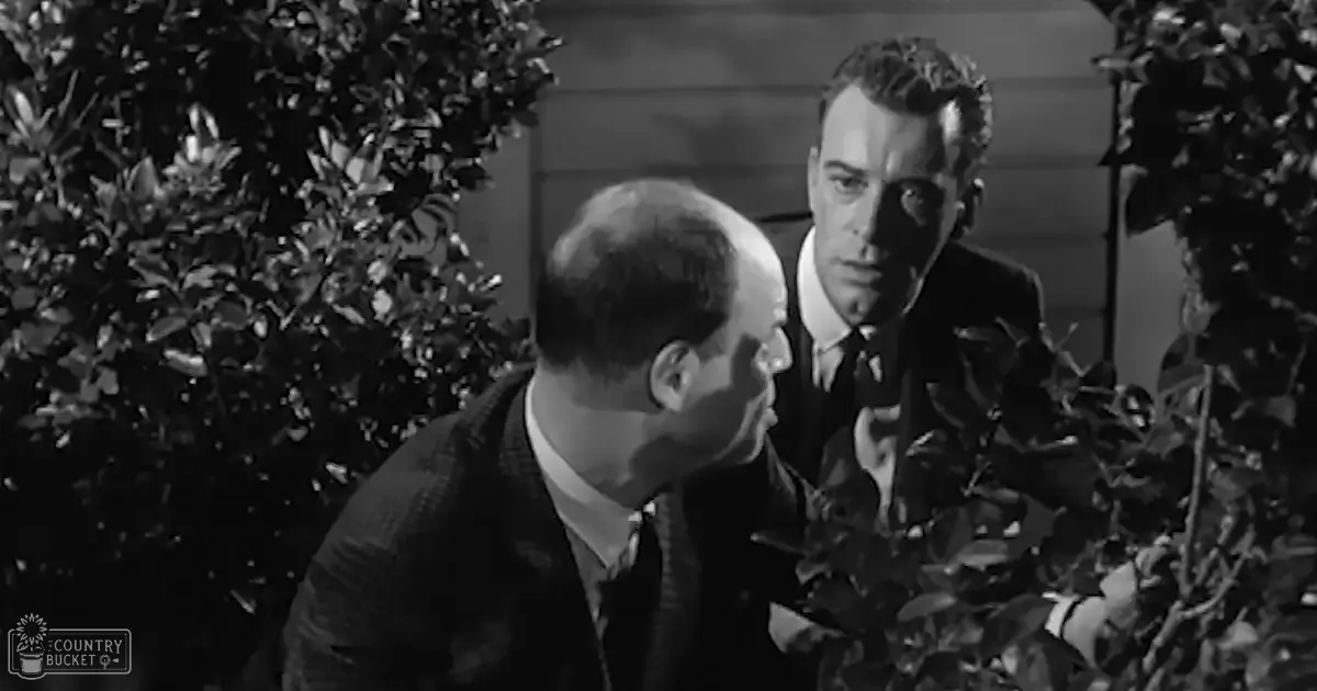 An older film scene set outdoors with greenery and a wooden fence in natural daylight