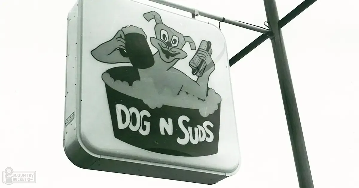 A cartoon dachshund dog on a 'Dog n Suds' sign in an outdoor setting during daytime.