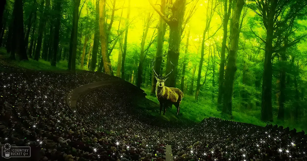A deer with antlers stands in a forest scene amidst tall trees with sunlight filtering through the leaves during autumn.