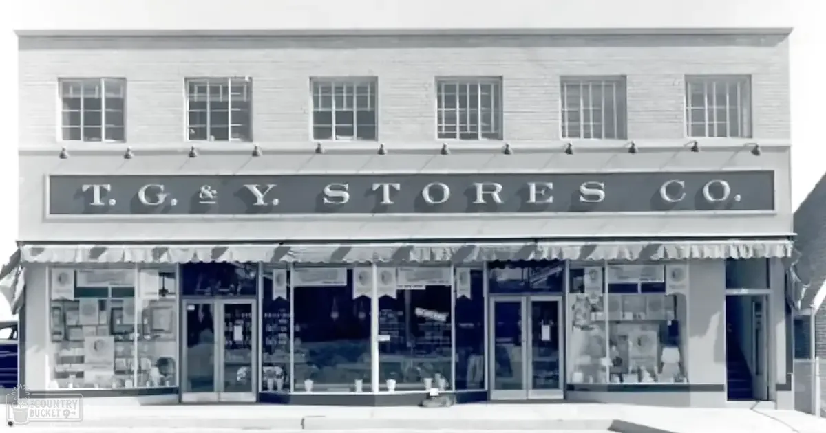 A storefront named 'T.G. & Y. STORES CO.' with large windows displaying various merchandise in an urban setting, lit by natural daylight.