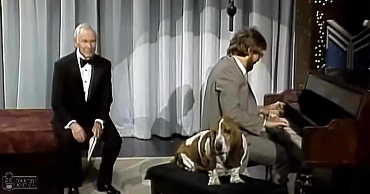 A Basset Hound, brown with white patches and a white stripe down its face, sits on a piano bench in front of two adult males interacting in what appears to be a talk show studio setting.