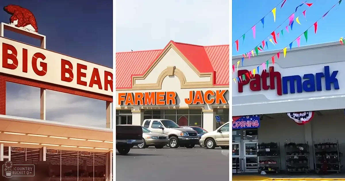 Three storefronts in a clear day setting, with 'Big Bear' with a red bear statue, 'Farmer Jack' with orange lettering, and 'Pathmark' adorned with colorful flags.