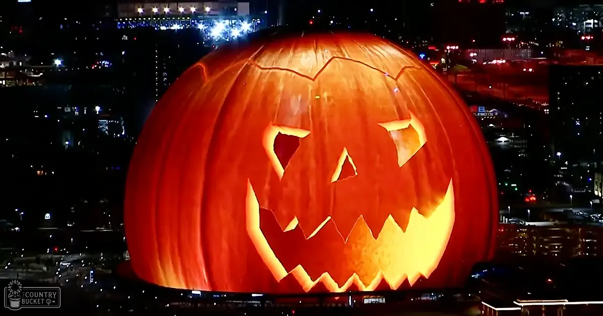 A large illuminated pumpkin with a carved face in an urban nighttime setting, surrounded by city lights.