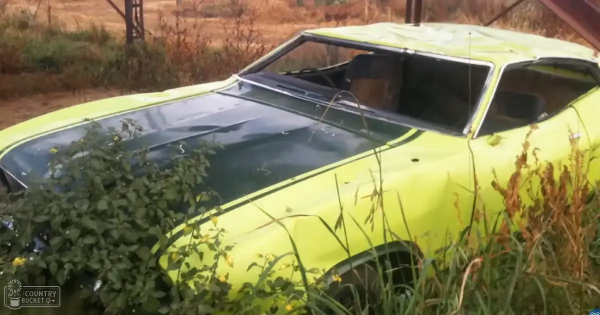 A yellow vintage car with a missing roof, abandoned in an outdoor rural area surrounded by dry grass and shrubs. The season appears to be late summer or early fall.