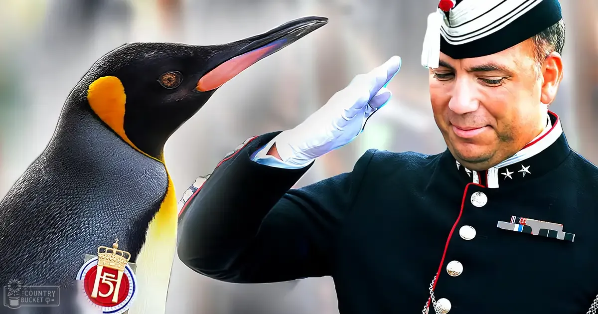 An adult male in a dark blue military-style uniform salutes a King Penguin with a bright yellow patch behind its eye at what appears to be an outdoor zoo or wildlife park setting, illuminated by midday sunlight.
