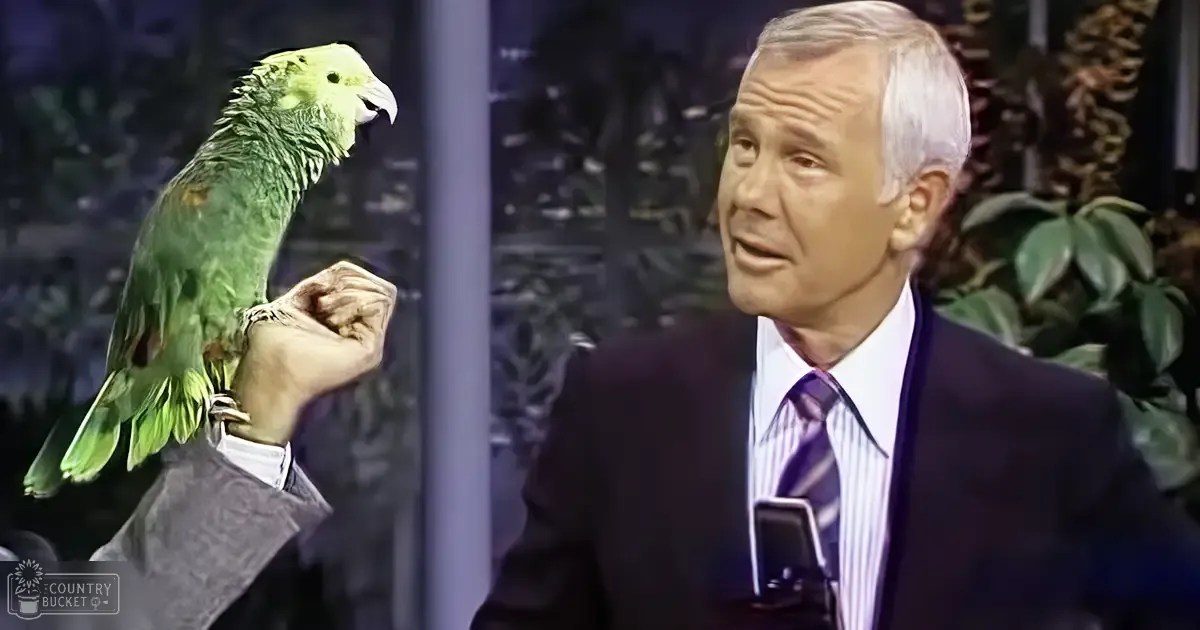 A man in a dark suit jacket, white dress shirt, and purple striped tie is holding an Amazon parrot perched on his arm. The setting appears to be an indoor television or radio studio with professional lighting and greenery in the background.