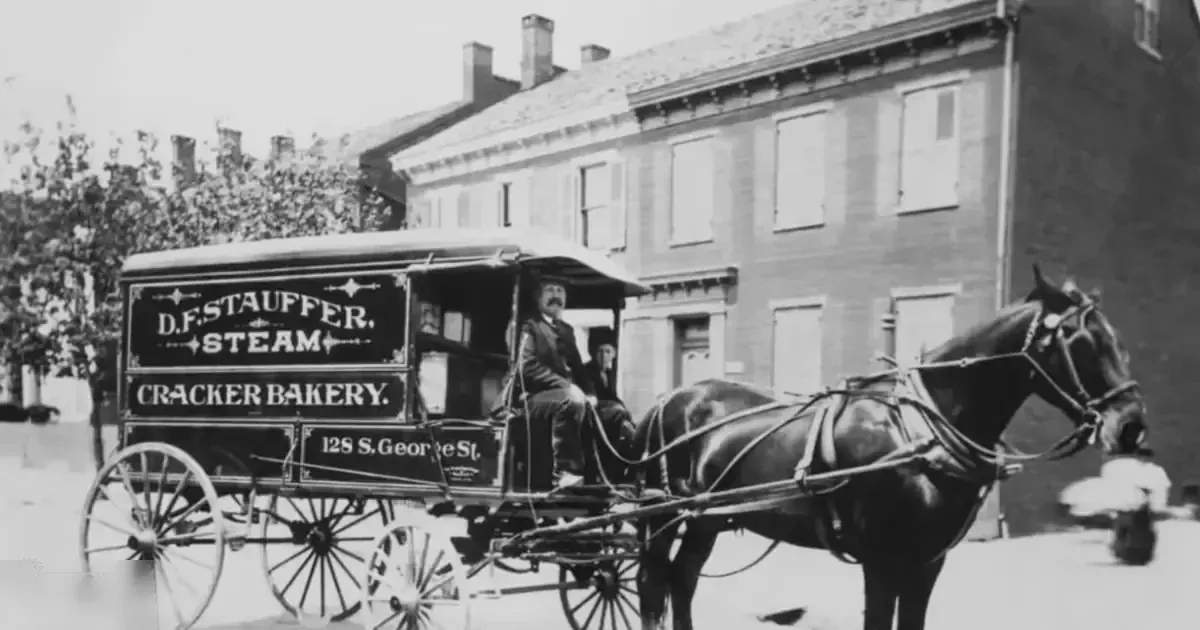 A dark-colored horse-drawn delivery wagon from D.F. Stauffer Steam Cracker Bakery at 128 S. George St., urban setting with multi-story brick buildings and a cooler climate, natural daylight.