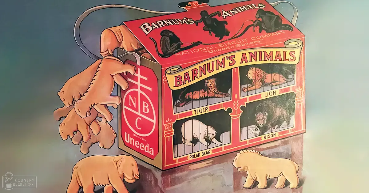 A polar bear, a lion, and a bison depicted on a vintage Barnum's Animals cookie box indoors with neutral lighting.