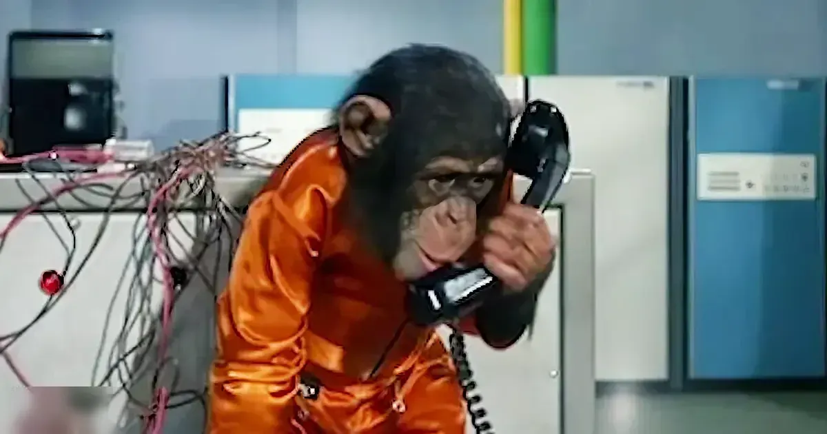 A common chimpanzee wearing an orange jumpsuit indoors, surrounded by office equipment and light-colored walls.