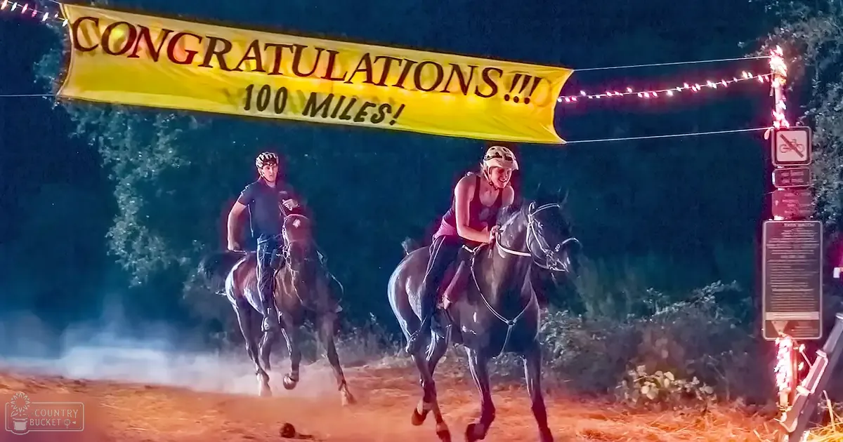 Horseback riding event at night with two young adults in rural setting, dark brown horses, string lights and 'CONGRATULATIONS!!! 100 MILES!' banner.
