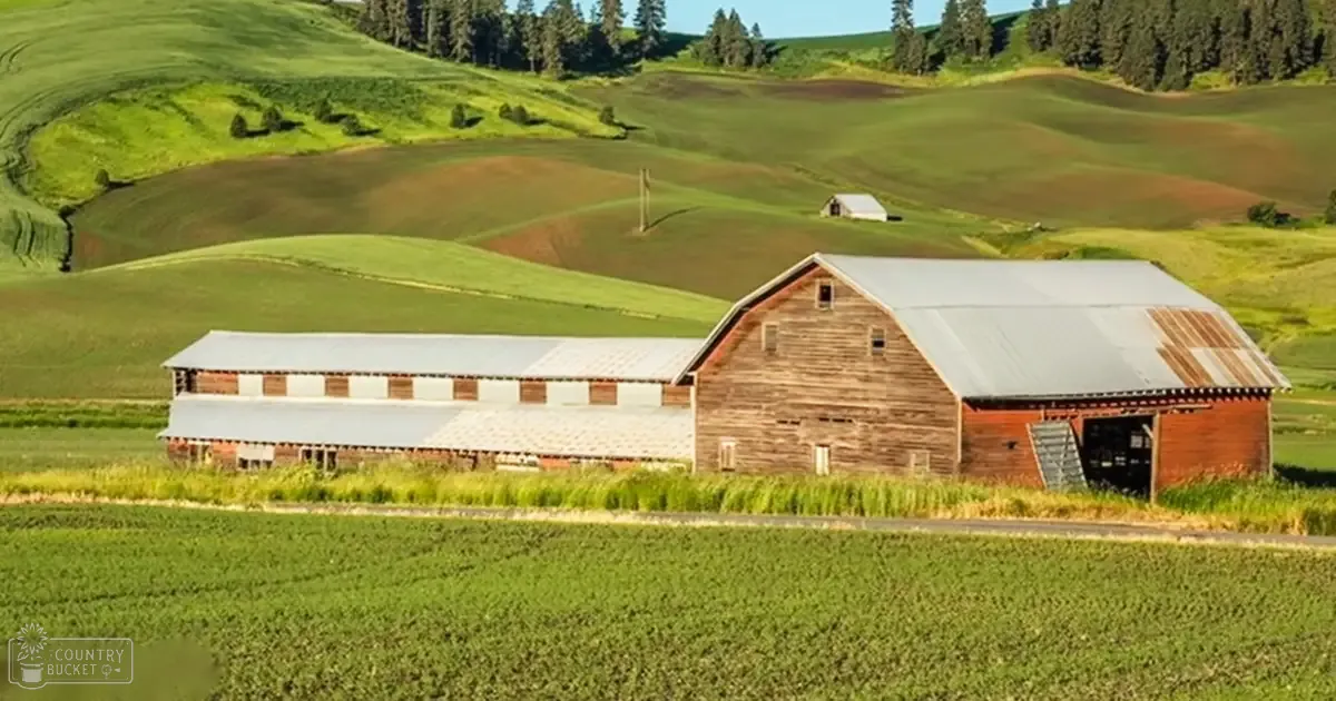 A rustic wooden barn with a metal roof and siding, set amidst lush green fields and rolling hills under a bright daytime sky.