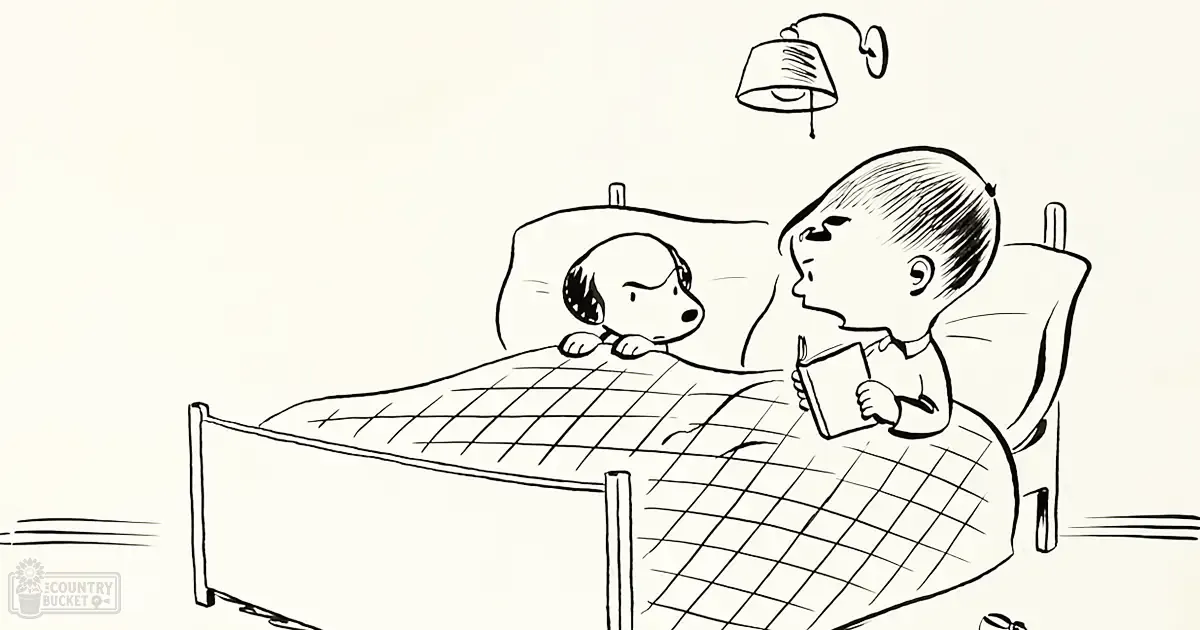 A young child reading a book with a Beagle dog on a simple bed in a minimalistic room, illuminated by a wall-mounted lamp.