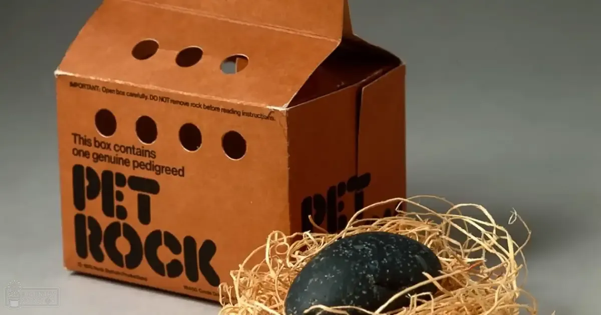 An open cardboard box labeled 'Pet Rock' containing a dark-colored rock nestled within straw or hay, next to another similar rock; setting appears indoors with neutral lighting.