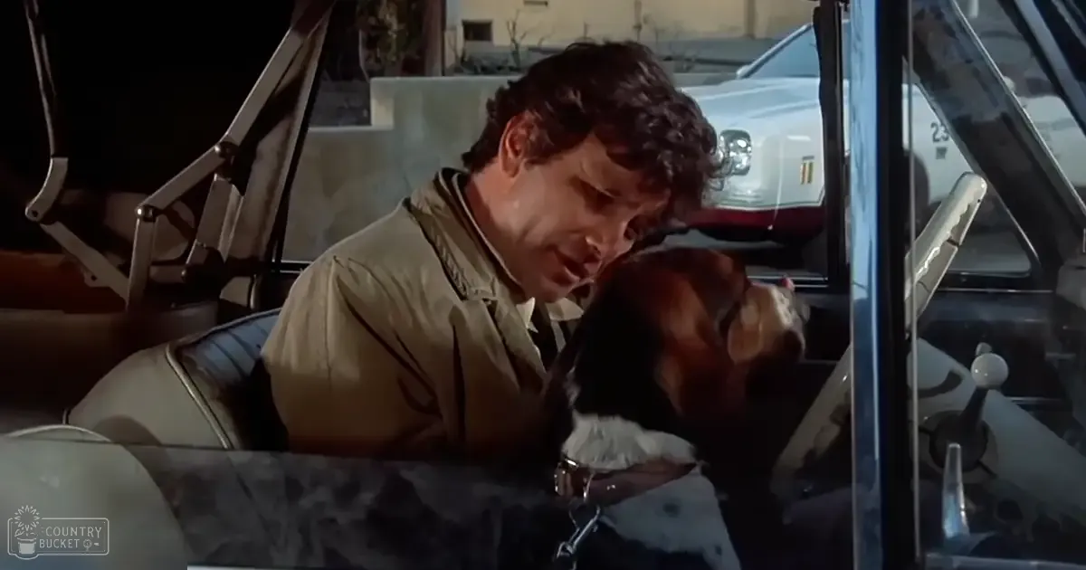 An adult male in a beige jacket sits with a beagle dog on a car seat, outdoors during bright daylight in what looks like a parking lot or street area.