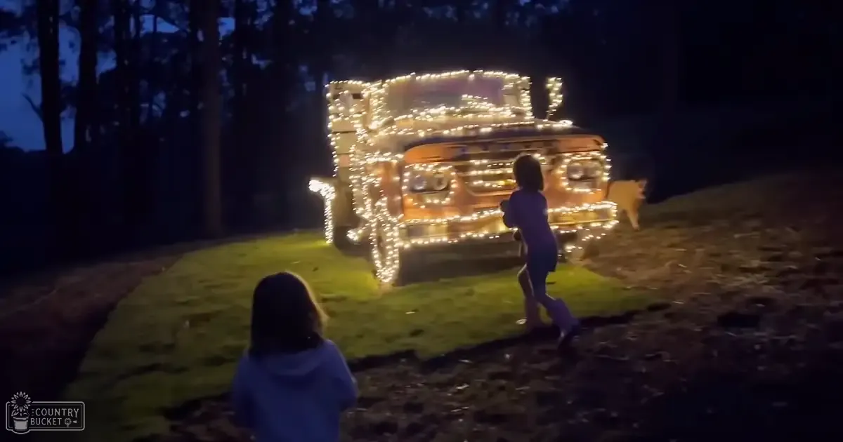An adult male singer in a rural or suburban outdoor setting at night with a golden retriever dog, decorated car covered in string lights.