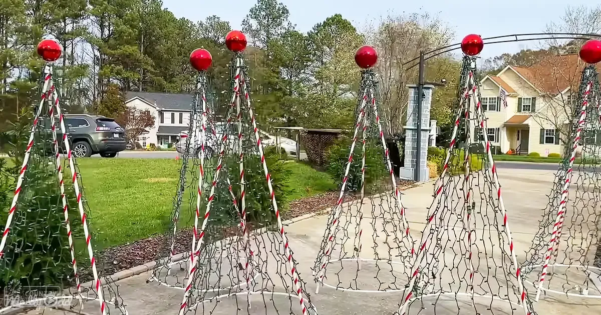 A residential neighborhood with five Christmas trees decorated for the holiday season during late afternoon light.