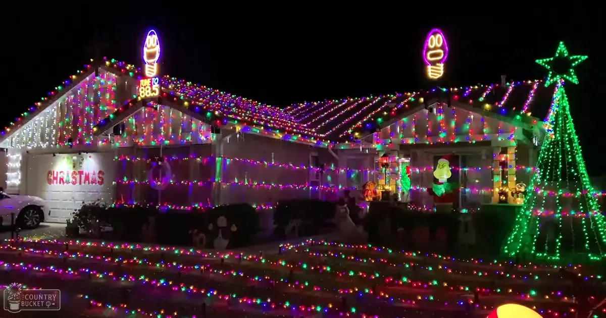 A house decorated with Christmas lights in an urban residential area during nighttime.