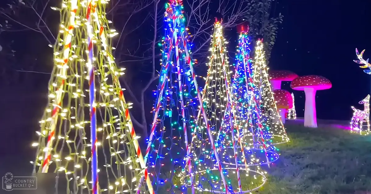 Festive outdoor holiday light display with trees decorated in multicolored lights, whimsical oversized mushroom and reindeer figures adorned with lights at night.