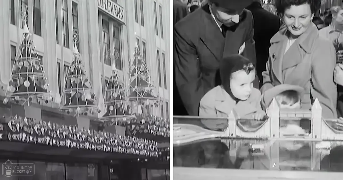 A family shopping scene with a toddler wearing a light-colored jacket and dark pants, interacting with Christmas decorations in front of an Evans department store during the Christmas season.