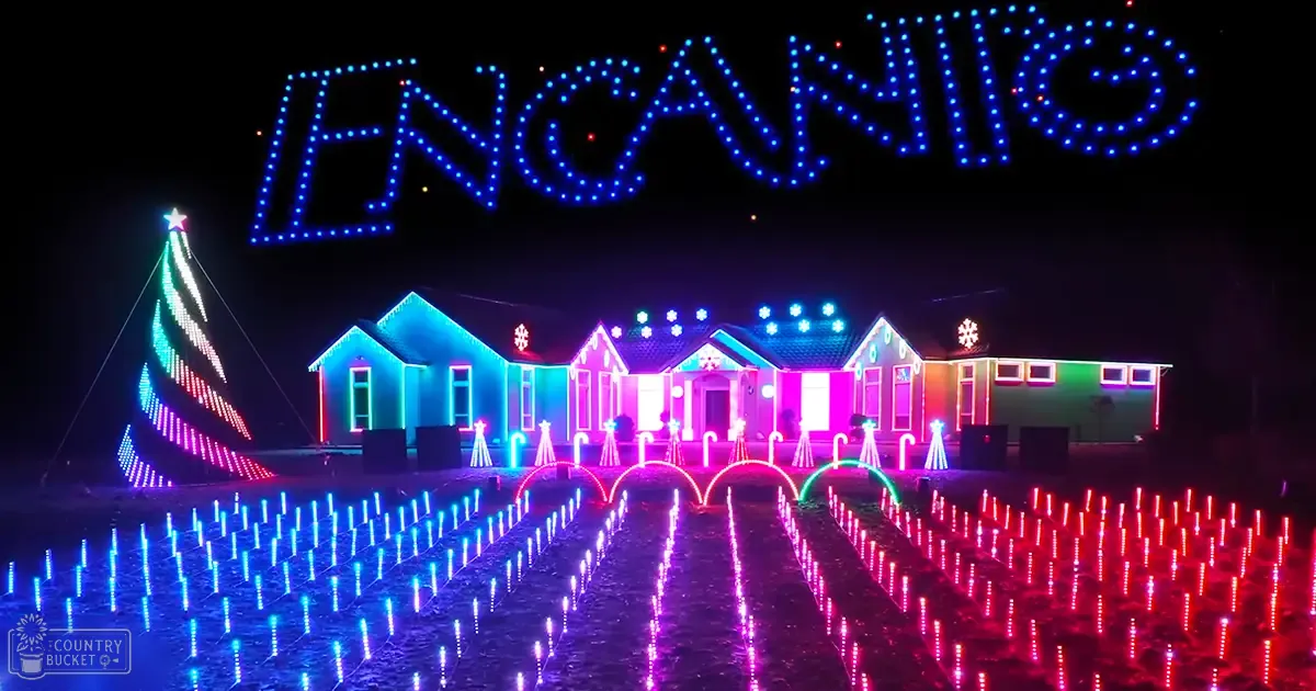 A nighttime scene of a Christmas-themed outdoor display with vibrant lights, including 'ENCANTO' spelled out in blue lights above a pathway of illuminated structures and trees.