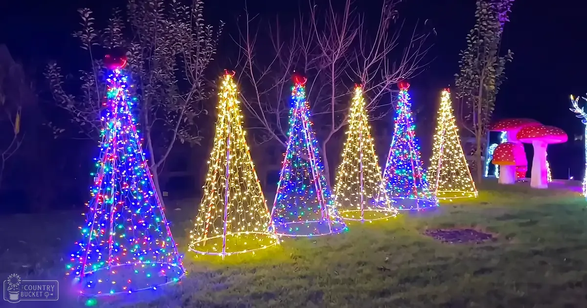 Illuminated Christmas trees and mushroom-shaped decorations at night, holiday light display in an outdoor area with bare trees suggesting late autumn or winter.