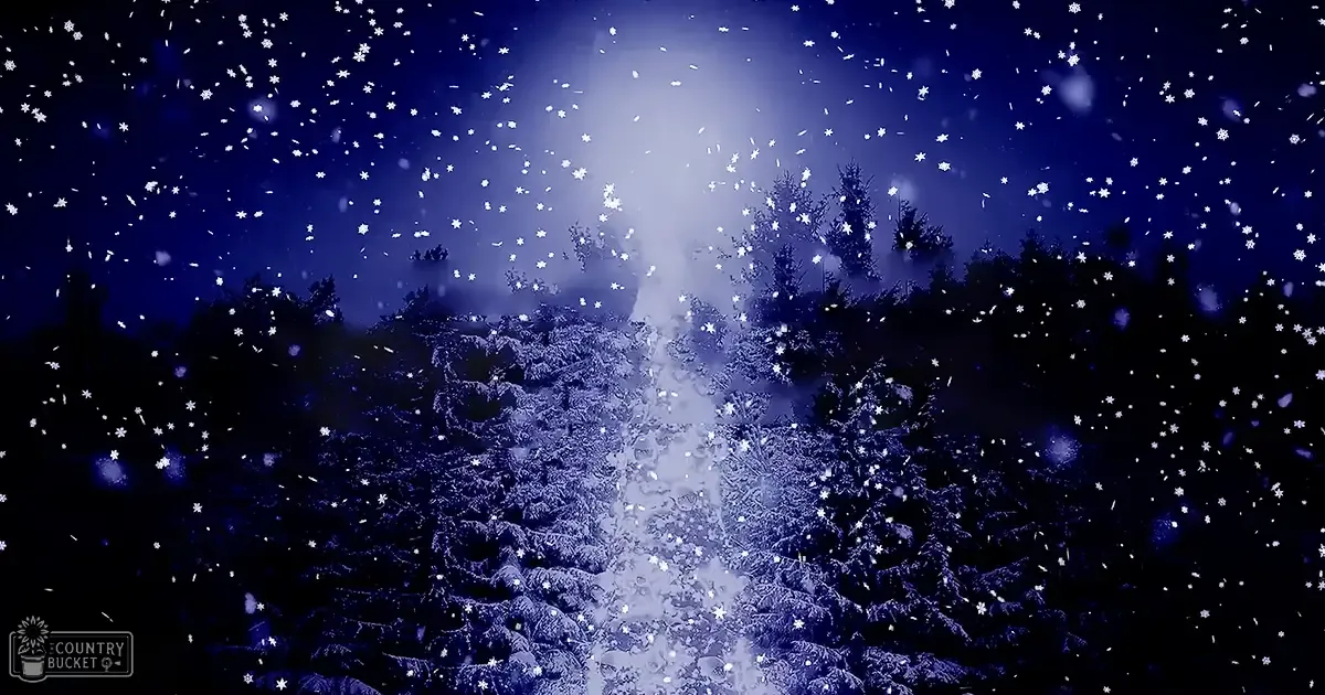 A snowy forest path leading to a bright light source, likely representing a magical or fantastical setting; set at night with snow-covered trees and falling snowflakes, suggesting winter.