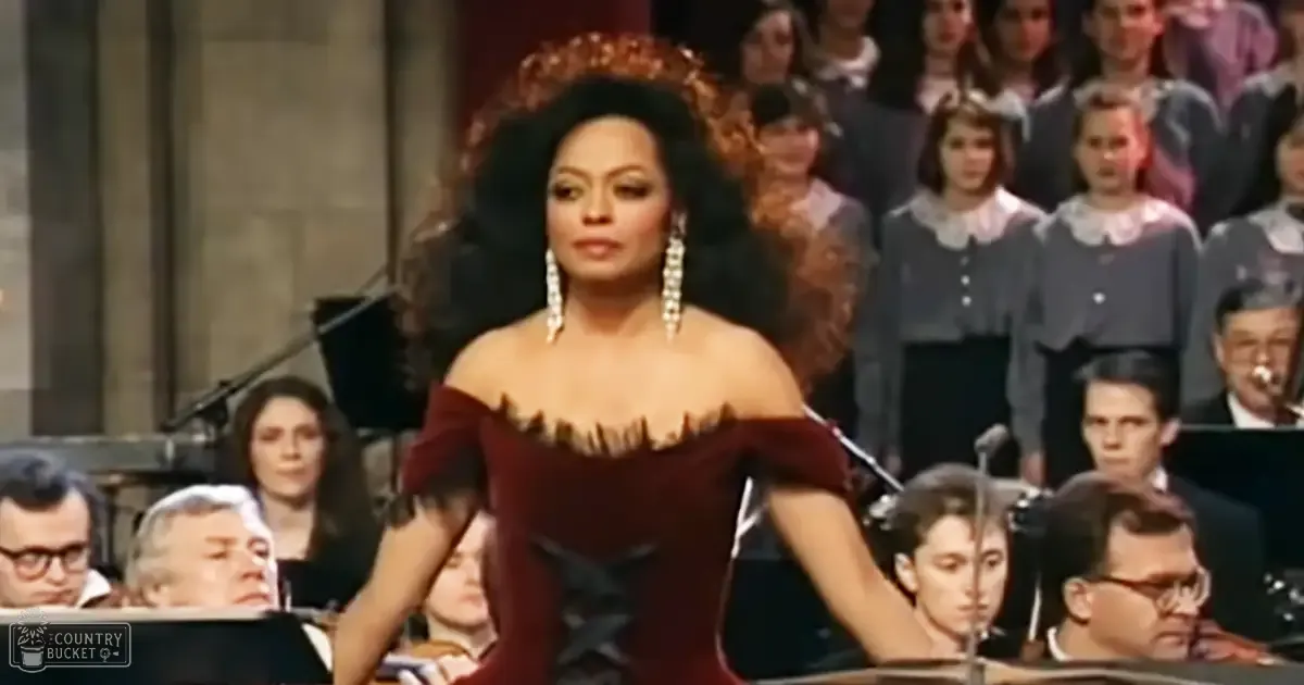 A woman wearing an elegant dark red off-the-shoulder silk dress at what appears to be an opera or formal performance setting with seated audience and musicians.