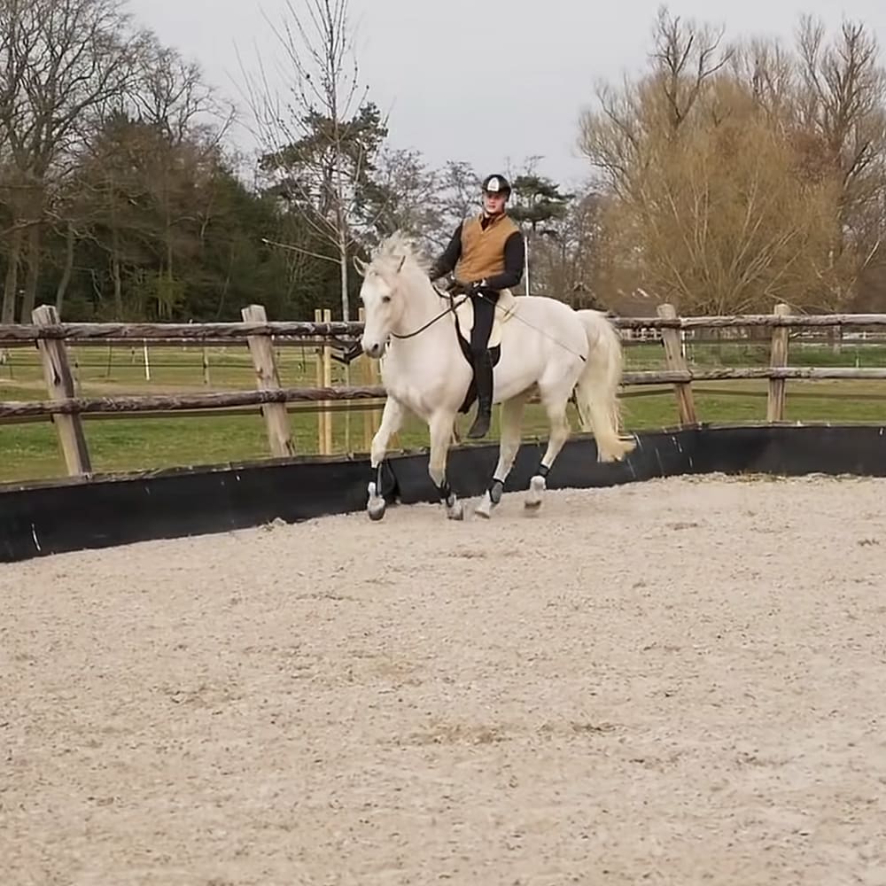 A young adult male rider on a white, all-brown horse in an outdoor arena with wooden fencing and sandy floor; late autumn or early spring setting with bare trees and diffused daylight.