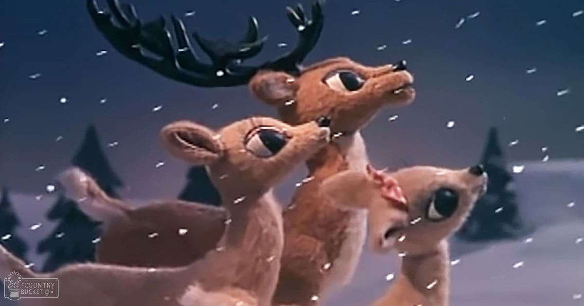 A snowy landscape with Rudolph the Red-Nosed Reindeer, his mother, possibly father or another adult male reindeer, under a dark sky at night during winter.