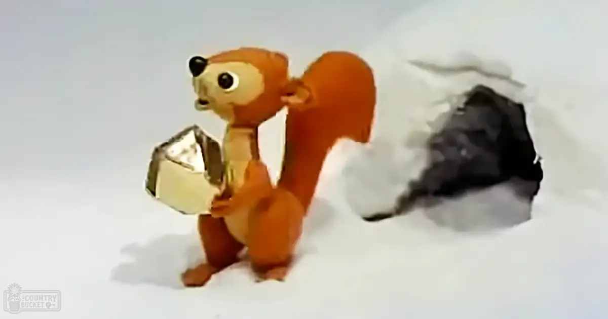 A reddish-brown squirrel with a bushy orange tail, set against a plain white background, suggesting an indoor daytime scene.
