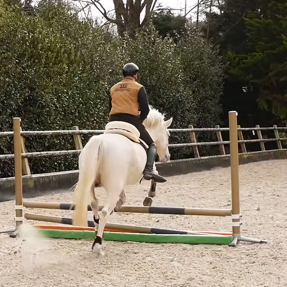 An adult male horse rider practicing jumping in a spring or summer outdoor riding arena surrounded by trees and bushes, with natural sunlight illuminating the scene.
