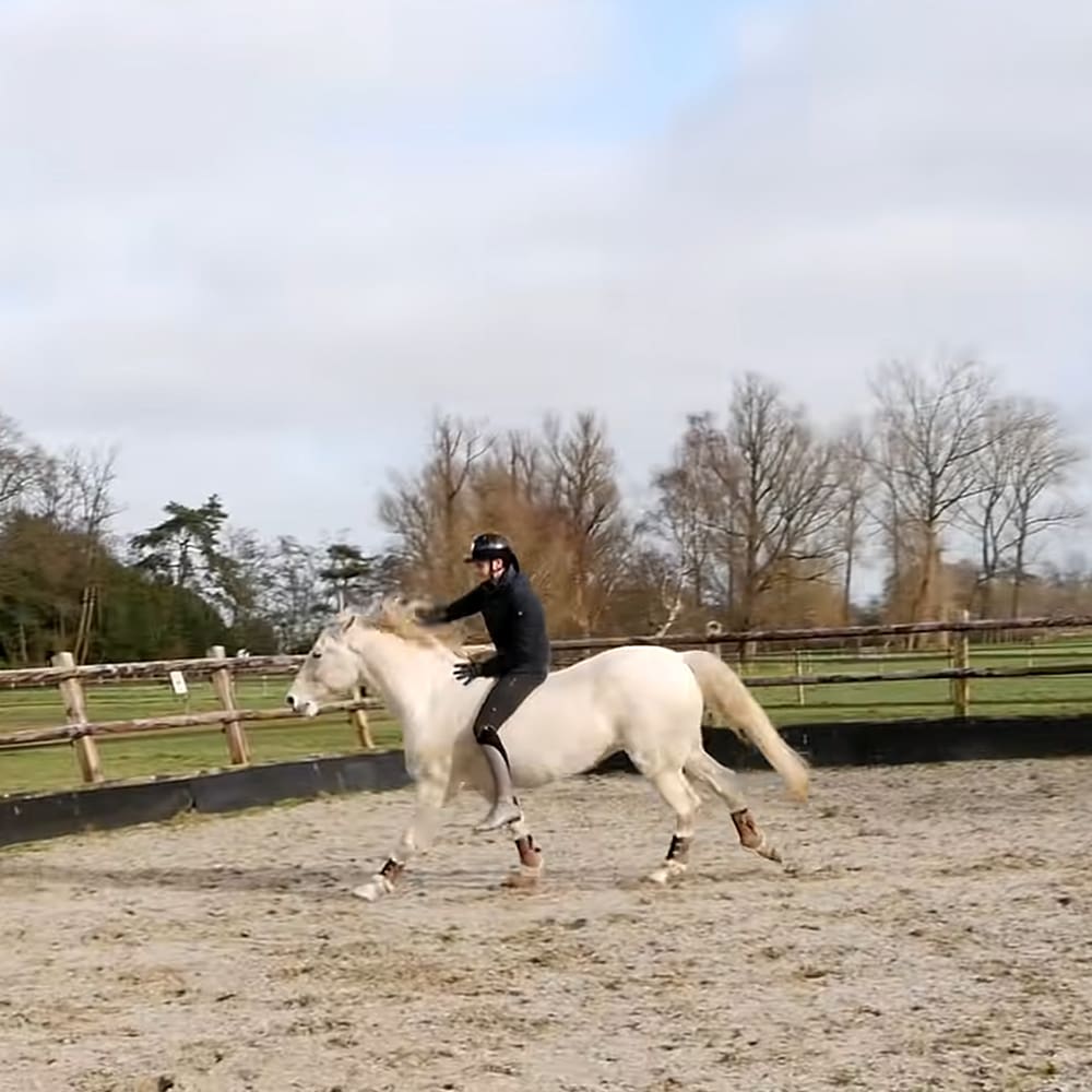 A rider on horseback in an outdoor riding arena with a white horse, enclosed by wooden fencing and surrounded by grassy fields and leafless trees under an overcast sky.
