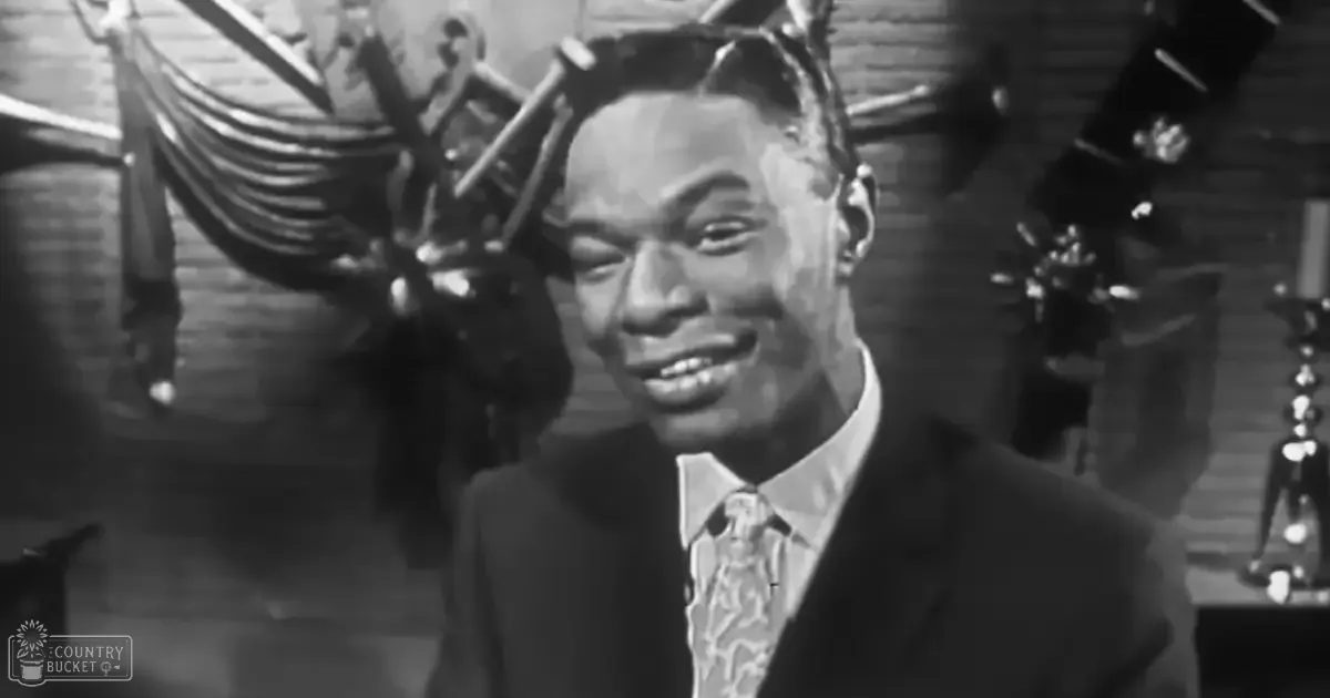 An adult male in a dark suit jacket, white shirt, and patterned tie stands indoors, possibly at a bar or restaurant. A tabby cat with brown and black stripes is visible in the background.