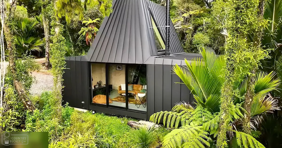A modern, black dome-shaped cabin nestled among lush forest vegetation with soft daylight illuminating the scene.