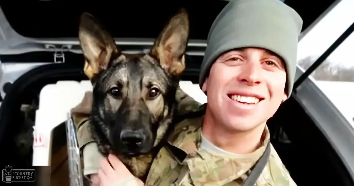 A young adult male soldier stands with his German Shepherd in an aircraft hangar under natural daytime light.