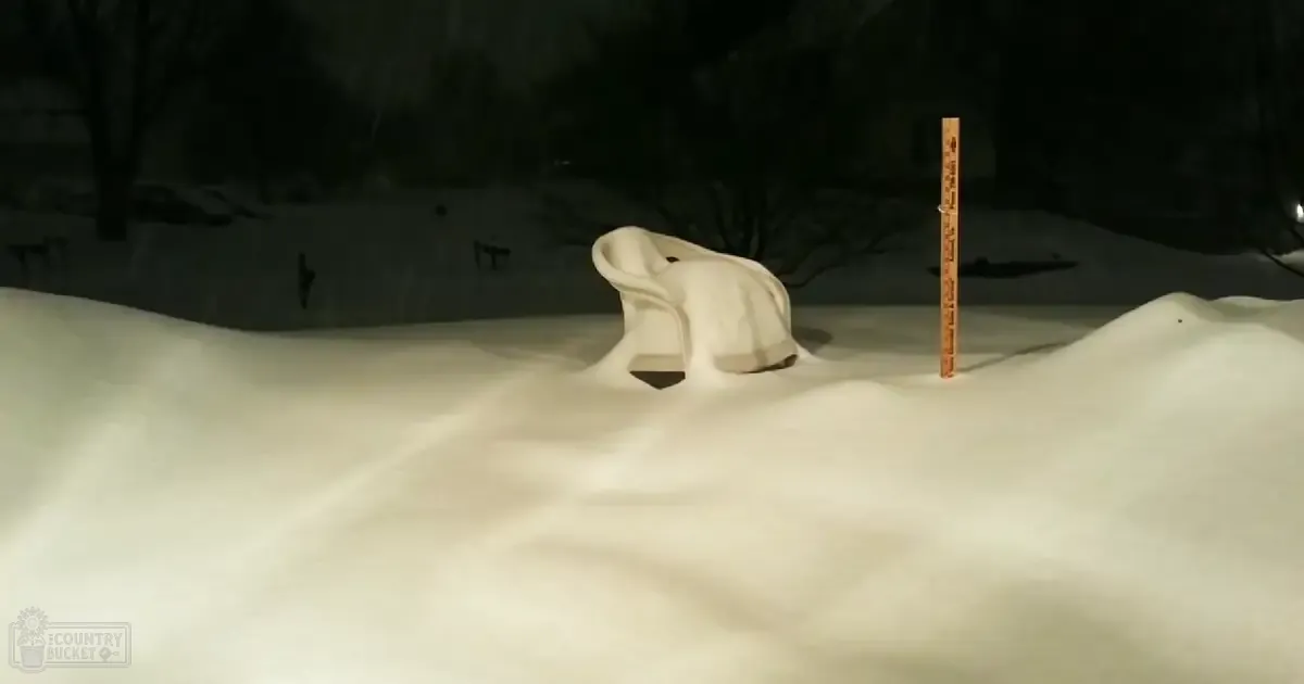 A snow sculpture resembling an elephant stands amidst a snowy landscape at night, with dark trees and dim lighting creating a winter atmosphere.
