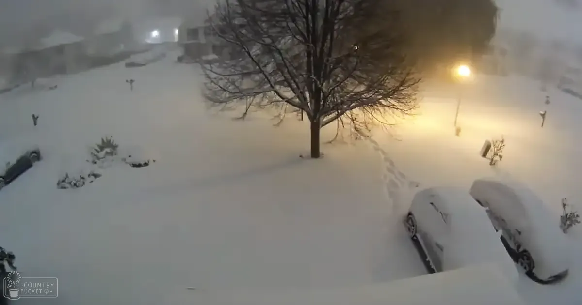 A snow-covered residential area with vehicles blanketed in snow, illuminated by a warm streetlight at dusk.