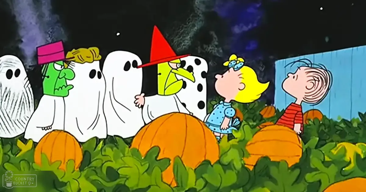 A nighttime scene in a pumpkin patch with dark clouds and stars, with scattered pumpkins and a blue wooden fence.