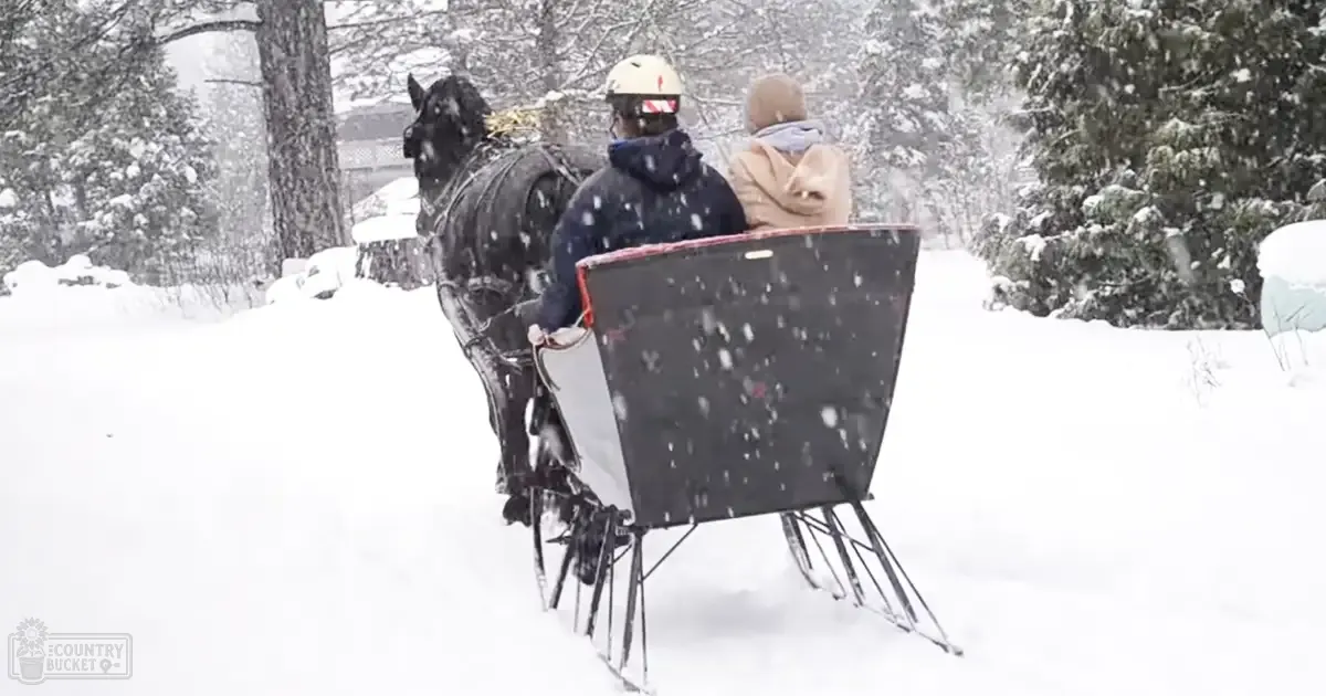 A horse-drawn sleigh ride through a snowy forest with an adult male driver and older female passenger enjoying cold weather attire.