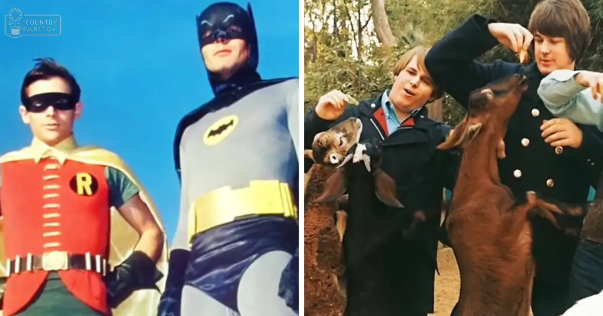 Batman and Robin outdoors with a Nubian goat under bright daylight in spring or summer, red vest with 'R', green shirt, black gloves, yellow cape; dark jacket with white buttons, light blue shirt, holding a brown Nubian goat with white markings.