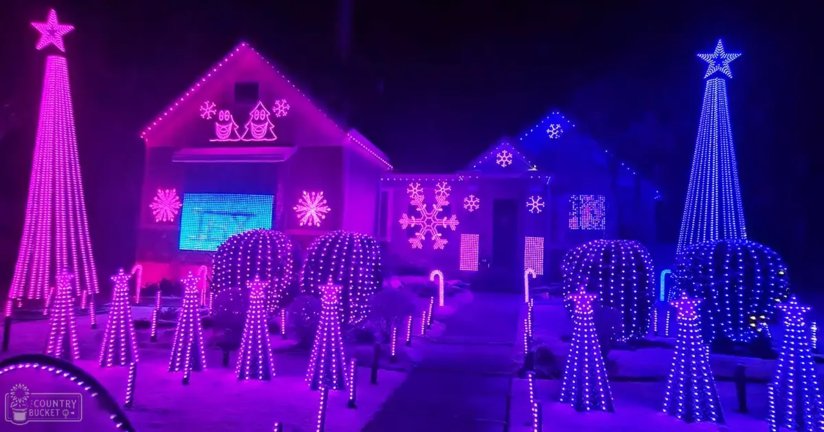 Houses adorned with vibrant purple LED snowflake lights at night in a residential neighborhood decorated for Christmas.