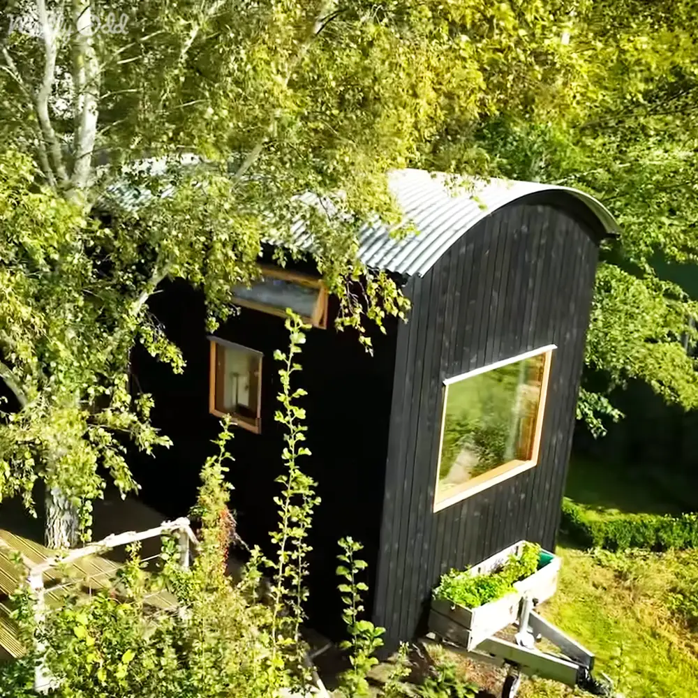 A serene forest scene with a small black cabin surrounded by trees and lush greenery in spring or summer.