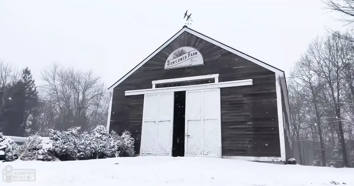 A snowy rural area with a barn labeled 'Sunflower Farm' during winter, under overcast daylight conditions.