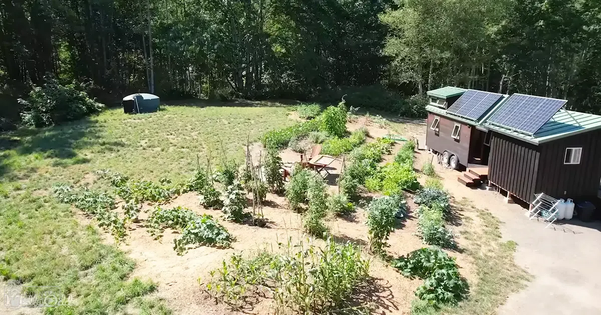 A small garden with various plants and vegetables in a rural outdoor setting with a wooden house with solar panels, a picnic table, and a clothesline with items hanging nearby.