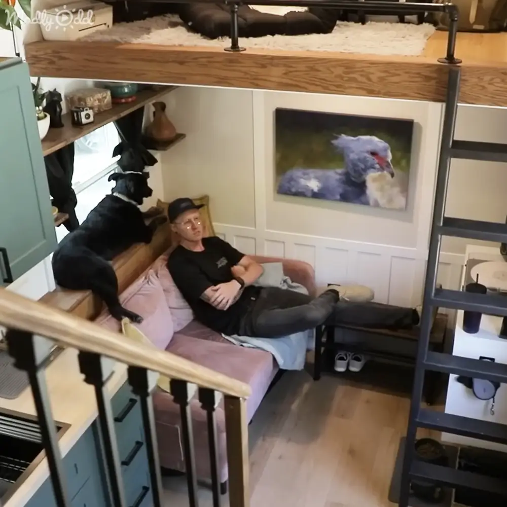A young adult male relaxes in his home with a Staffordshire Bull Terrier dog by his side. The setting is indoors during the daytime.