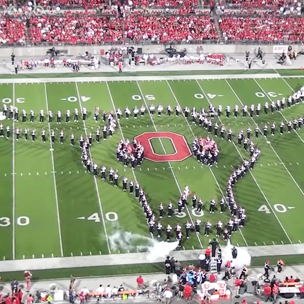 A marching band at Ohio Stadium during fall with overcast skies and green field as backdrop.