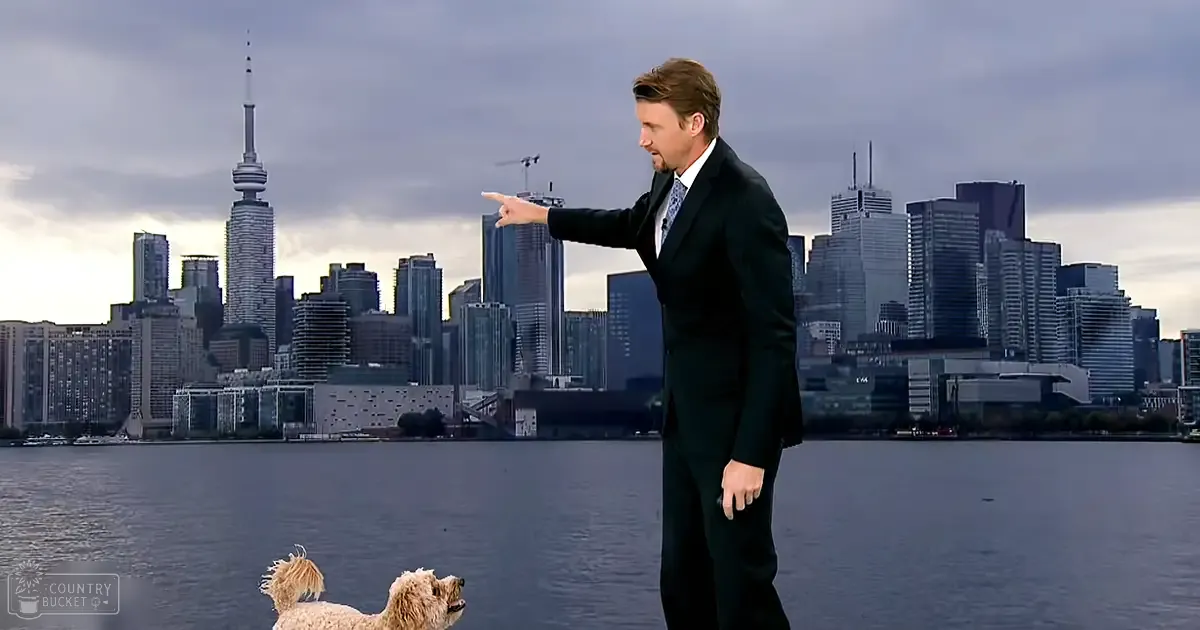Adult male in a dark suit jacket against the Toronto skyline, with a light-colored poodle nearby on an overcast day.
