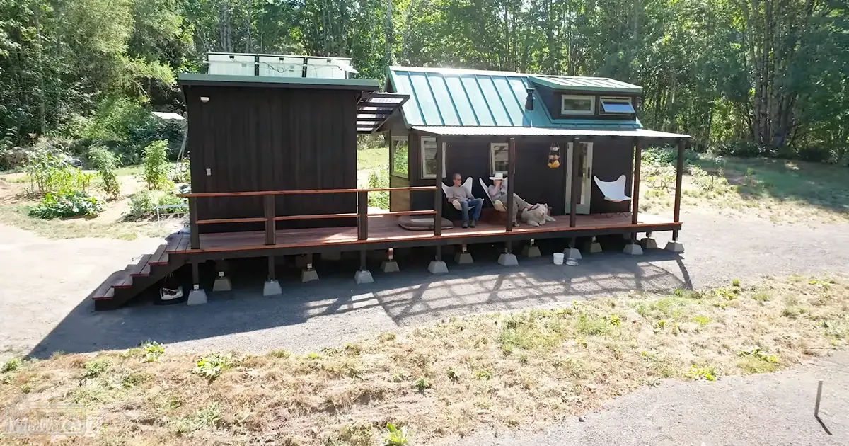 A medium-sized dog on a deck of a tiny house in a rural area surrounded by trees, with two adults visible. The setting is outdoors in late spring or summer.